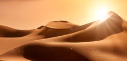 THE SUN AND THE SANDS OF SAUDI